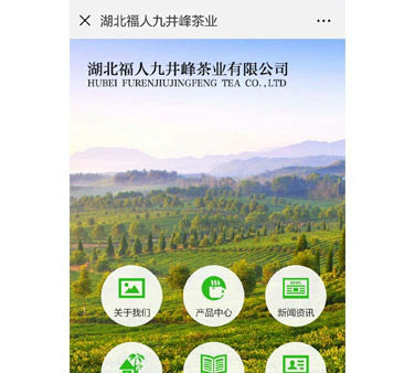 湖北福人九井峰茶业